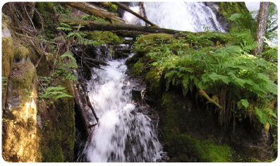 Waterfall